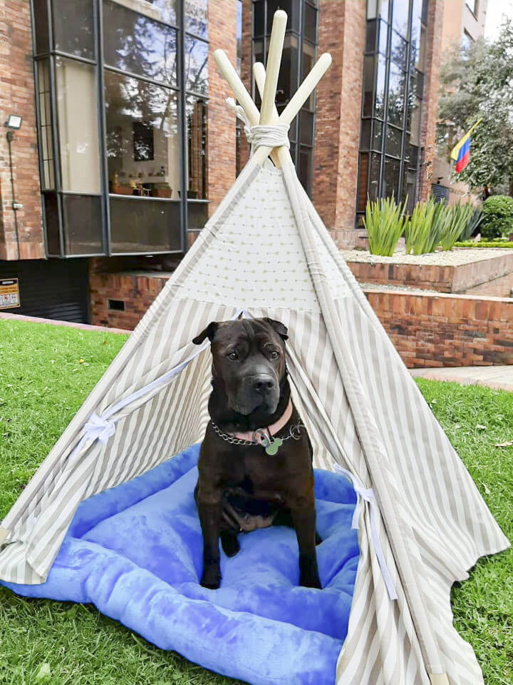 Tipi para perros, teepee, camas para perros